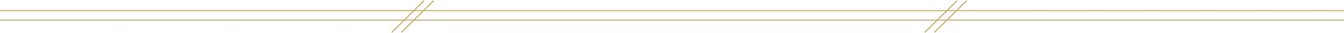 Section Line